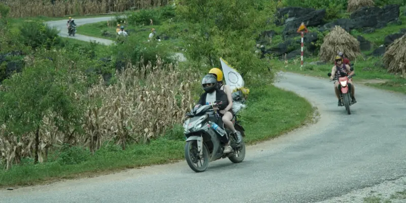 A line of motorbikes strung out along a hairpin bend on a Ha Giang Loop road, riders spaced apart between maize fields