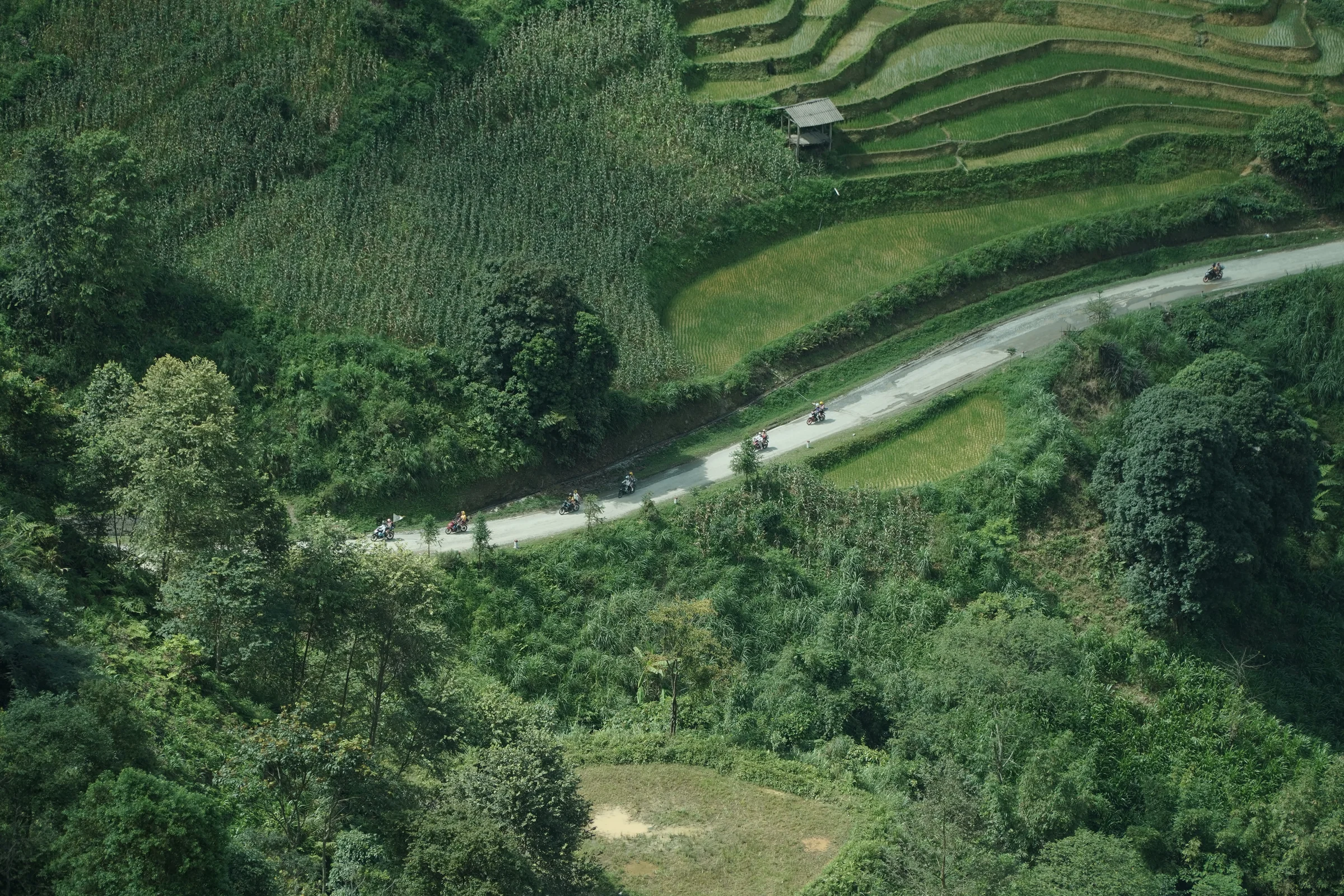 A narrow paved road switchbacking down a steep green hillside in Ha Giang, seen from above, with a vehicle on one of the bends
