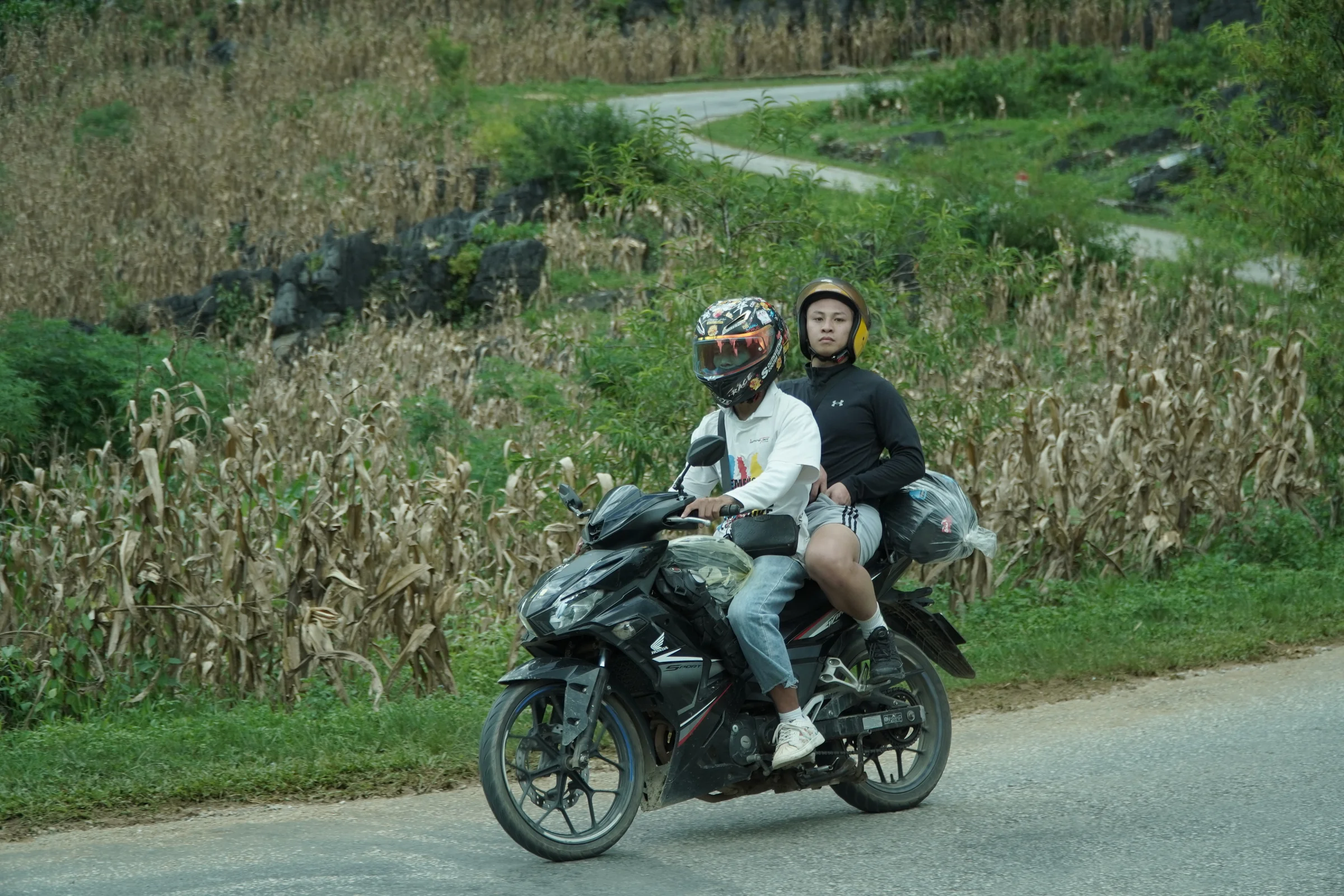 Two riders in helmets sharing a motorbike on a narrow paved road between maize fields on the Ha Giang Loop