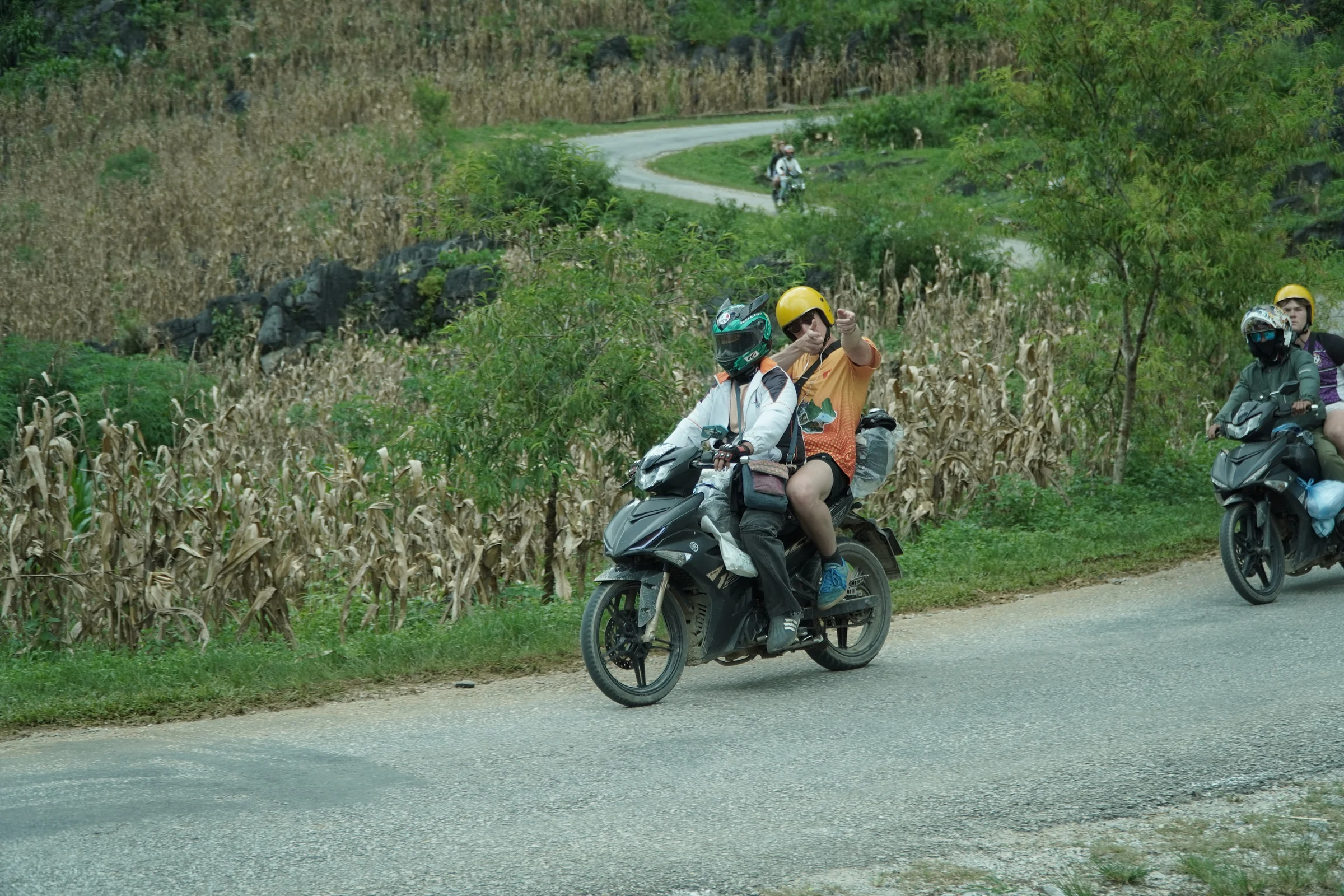Two travellers riding two-up on a loaded motorbike along a paved road between maize fields on the Ha Giang Loop