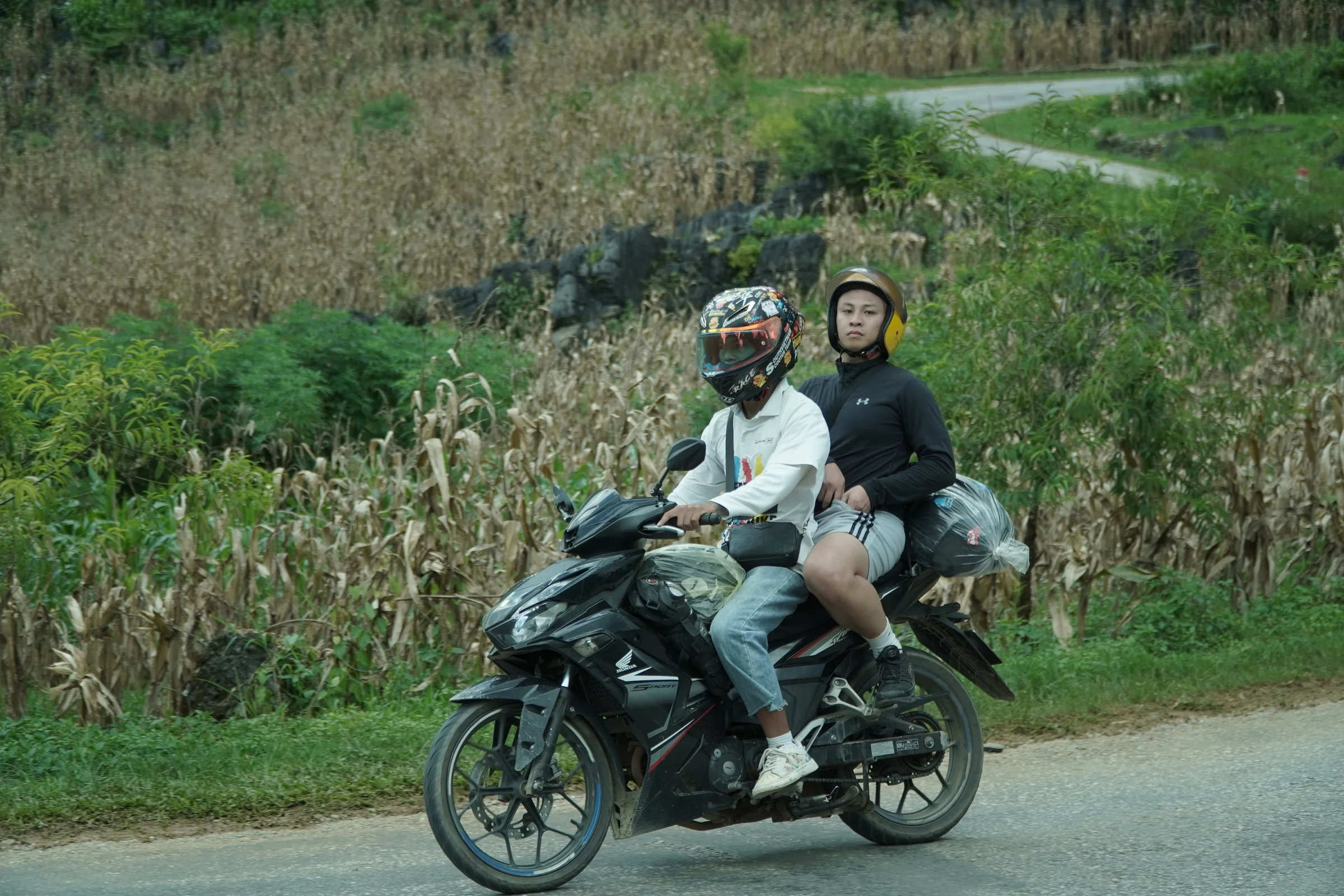 Two riders in helmets on a 150cc motorbike on a paved road between maize fields on the Ha Giang Loop