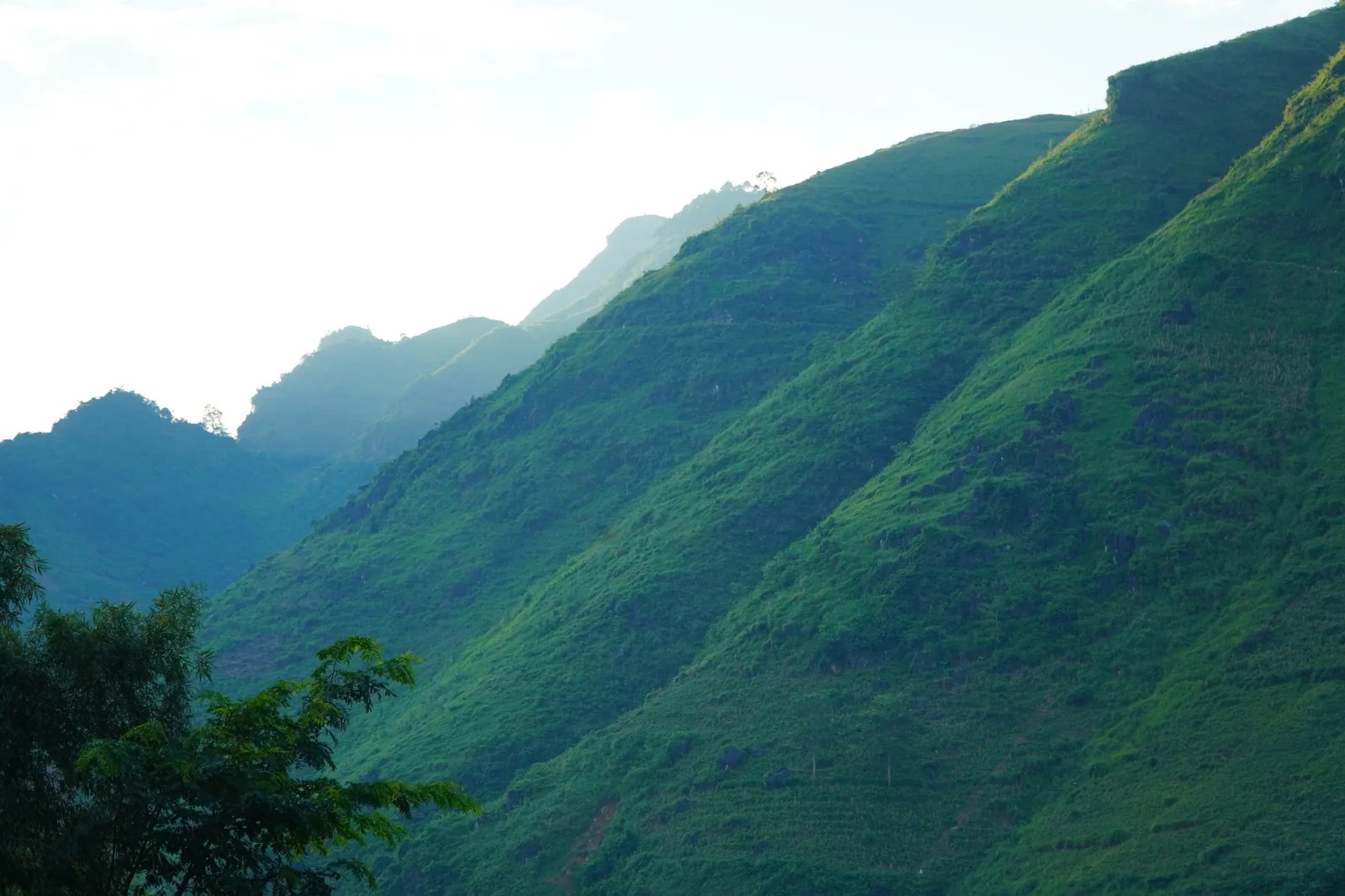 Green mountain flank above Du Gia village, Ha Giang, August 2026